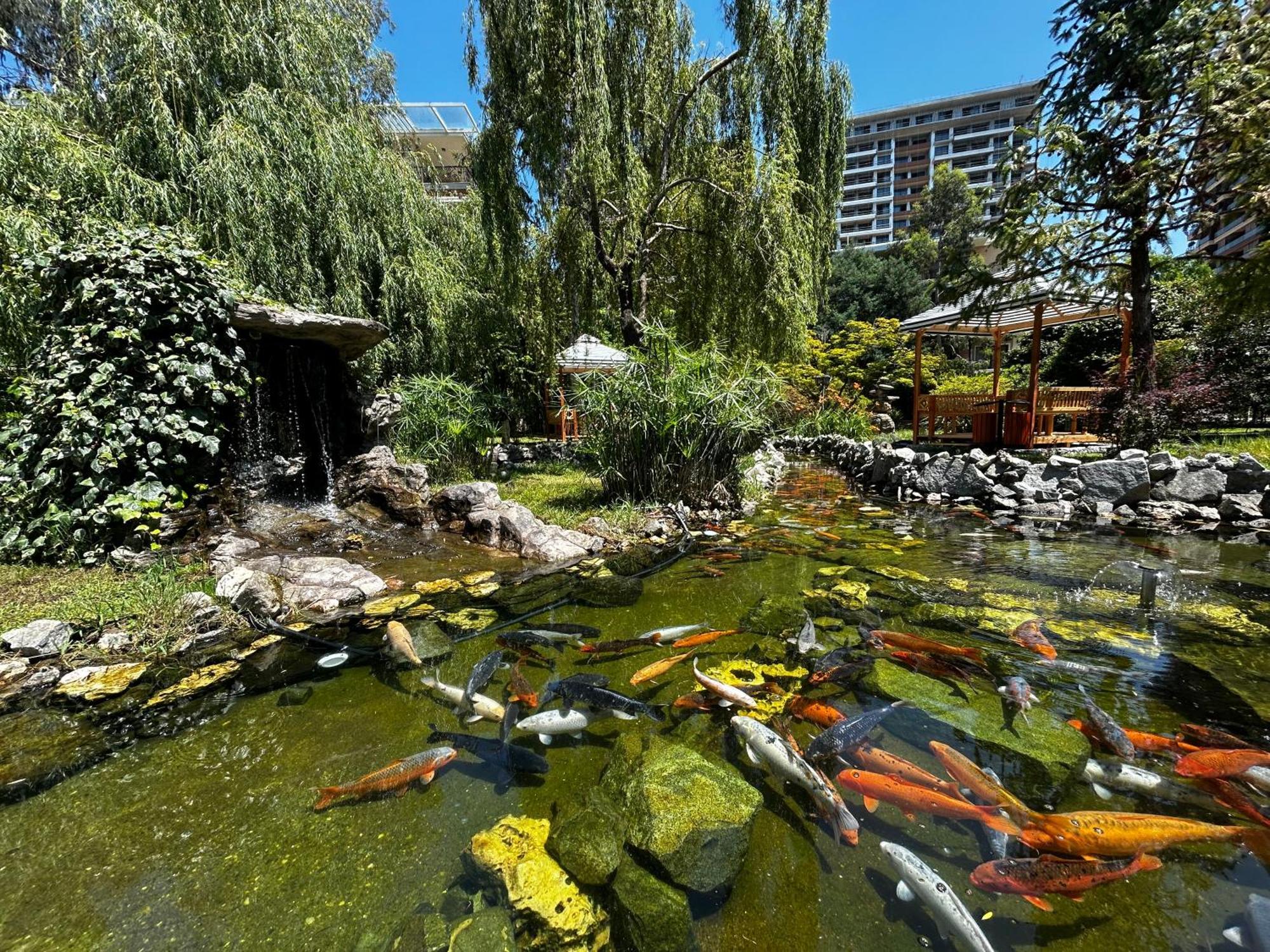Cемейный Номер С Балконом На 4 Чел Dreamland Oasis Chakvi Exterior foto