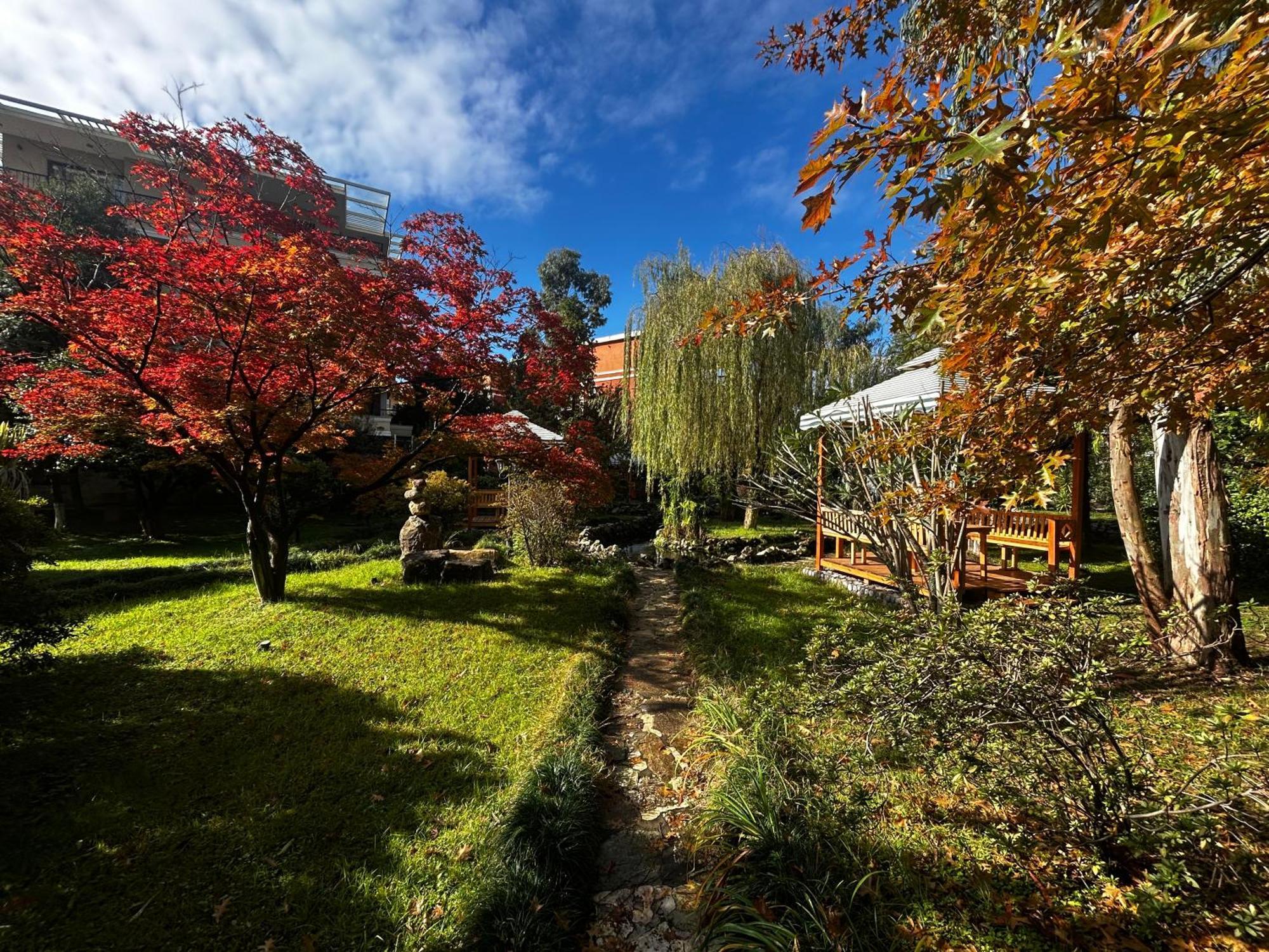 Cемейный Номер С Балконом На 4 Чел Dreamland Oasis Chakvi Exterior foto